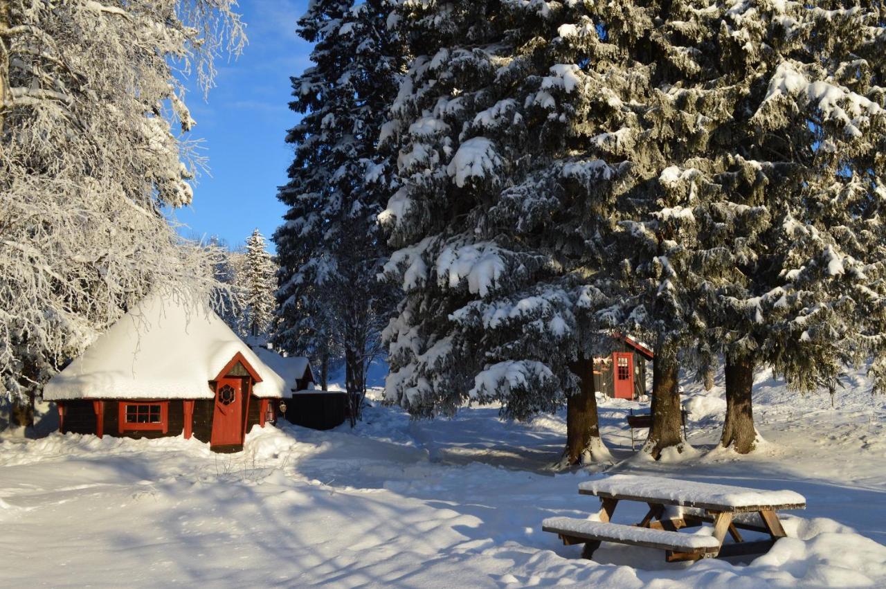 Trysil Hyttegrend Zewnętrze zdjęcie
