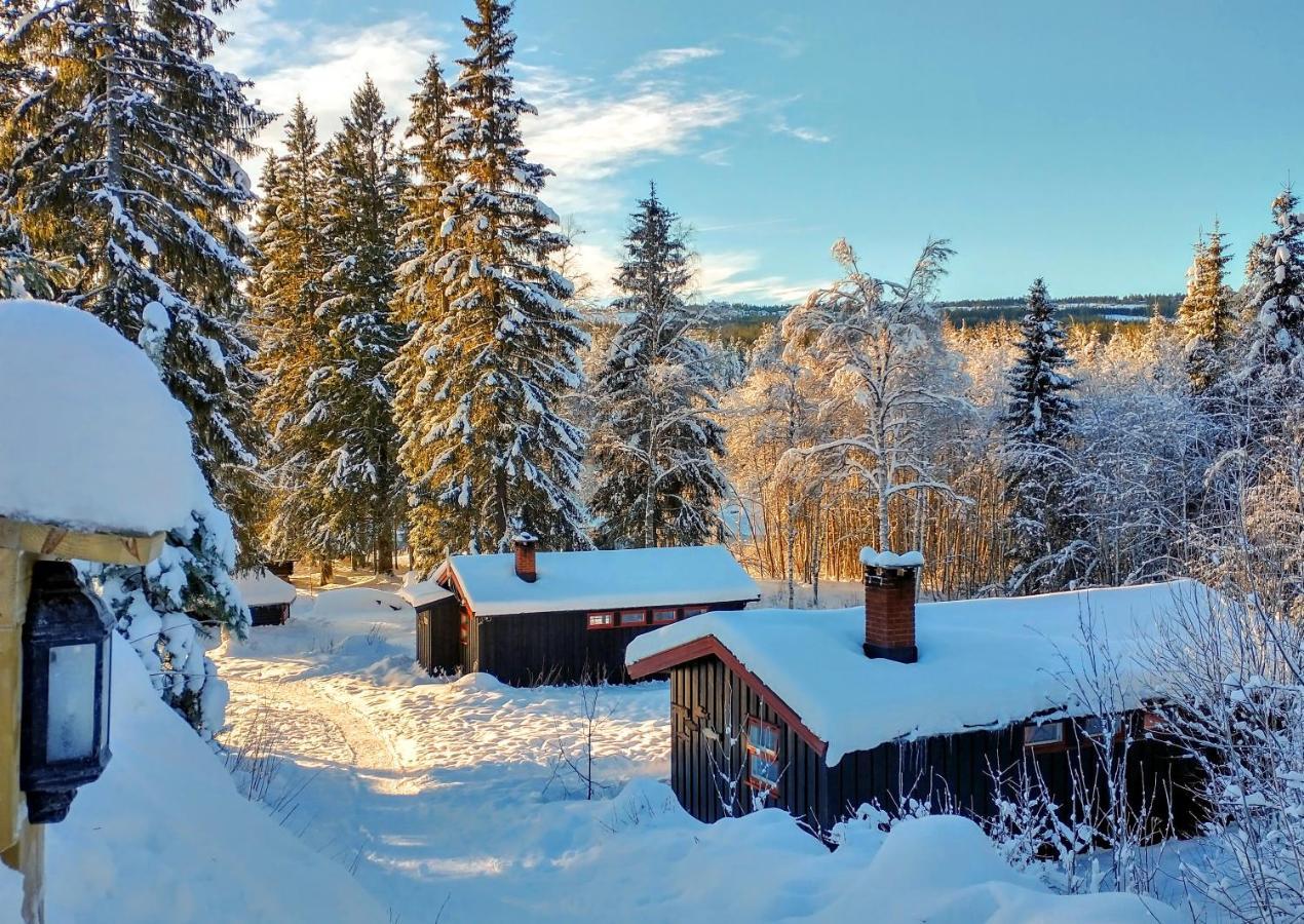 Trysil Hyttegrend Zewnętrze zdjęcie