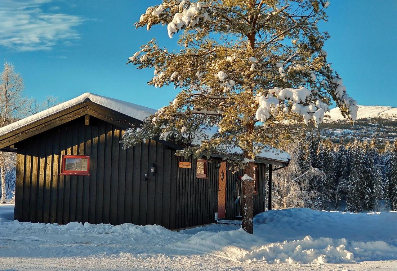 Trysil Hyttegrend Zewnętrze zdjęcie