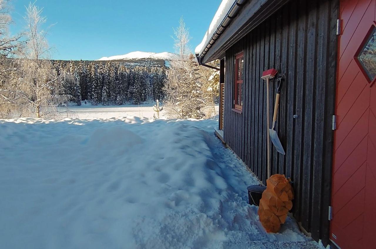 Trysil Hyttegrend Zewnętrze zdjęcie