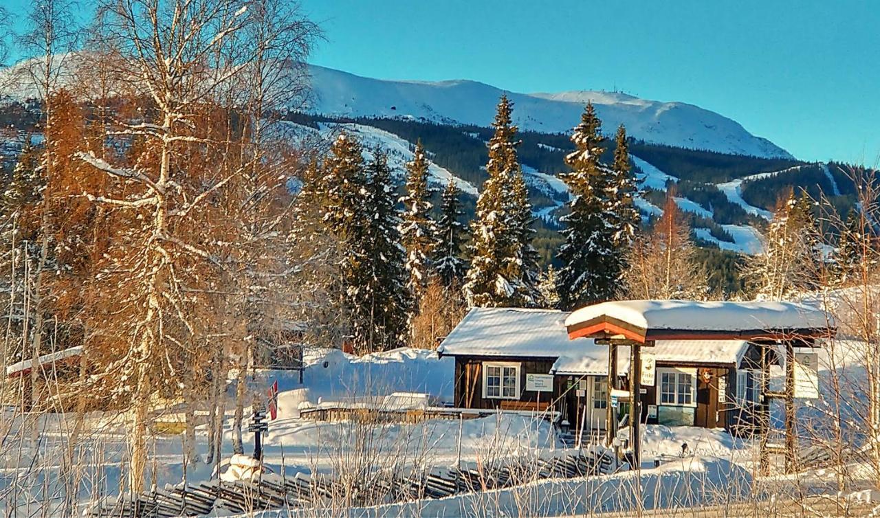 Trysil Hyttegrend Zewnętrze zdjęcie