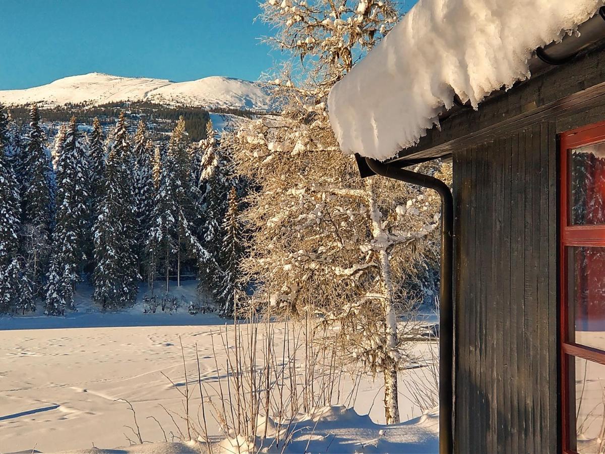 Trysil Hyttegrend Zewnętrze zdjęcie