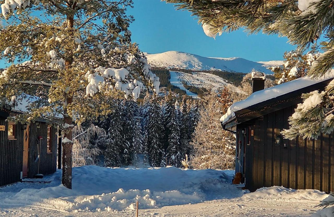 Trysil Hyttegrend Zewnętrze zdjęcie
