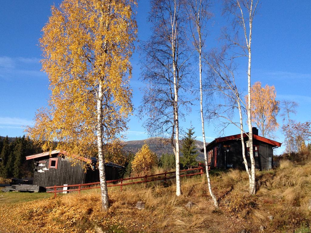 Trysil Hyttegrend Zewnętrze zdjęcie