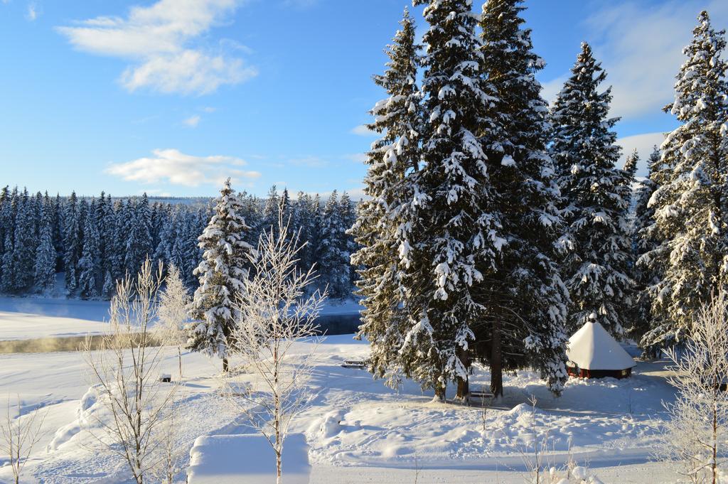 Trysil Hyttegrend Zewnętrze zdjęcie