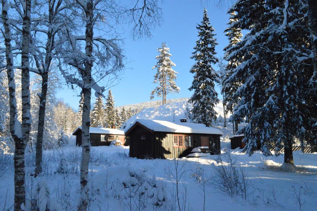 Trysil Hyttegrend Zewnętrze zdjęcie