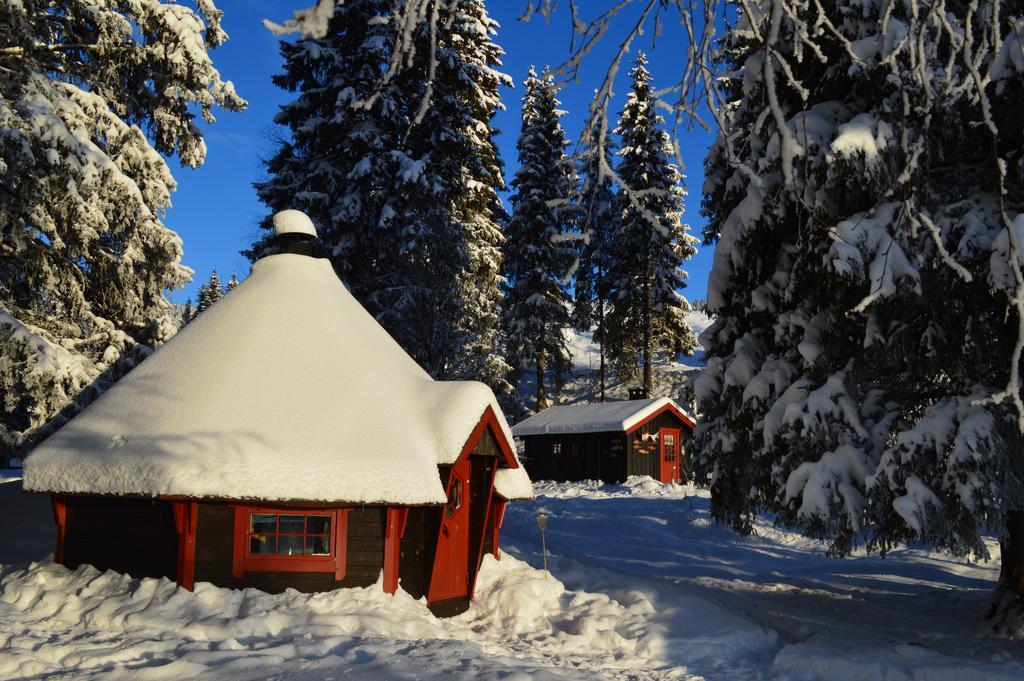 Trysil Hyttegrend Zewnętrze zdjęcie
