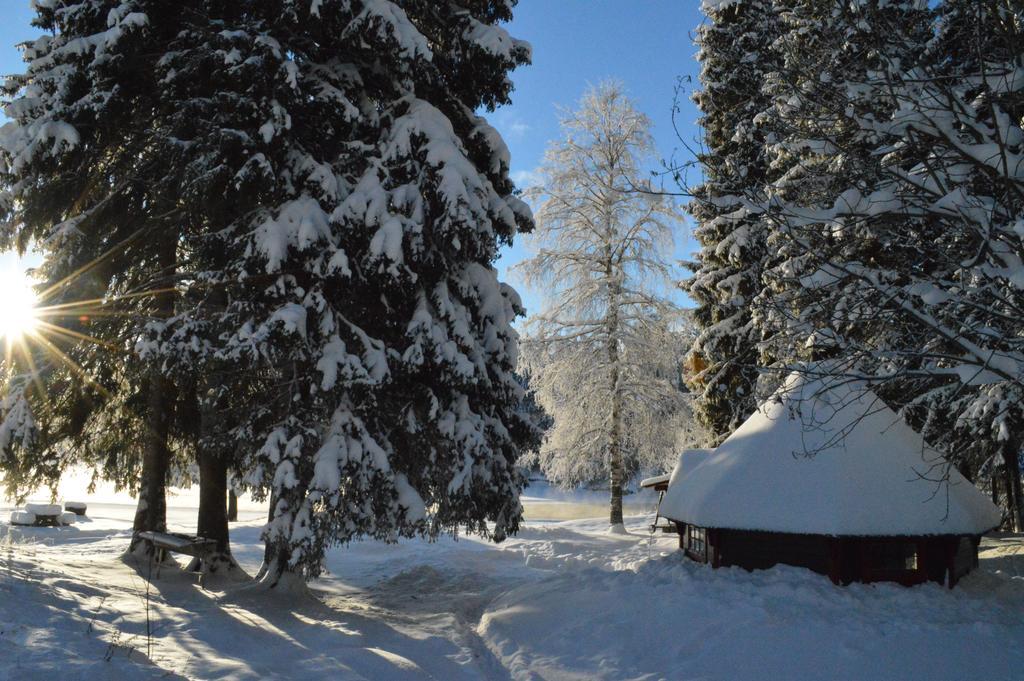 Trysil Hyttegrend Zewnętrze zdjęcie